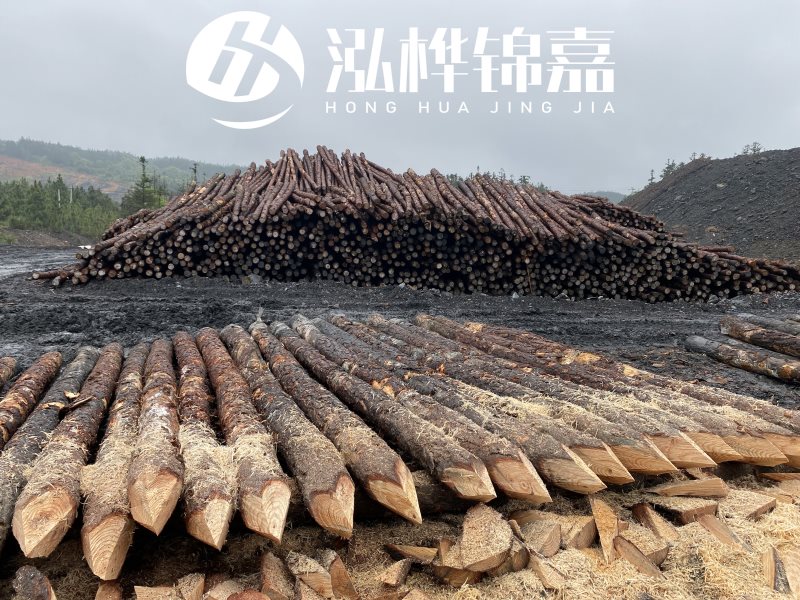 6米長松木樁有哪些作用，多少錢一根？