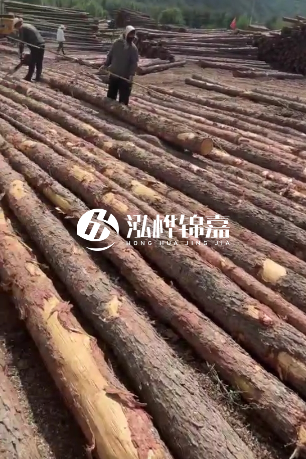 ?？谒赡緲对搭^廠家-松木樁最長(zhǎng)可以做多少米？