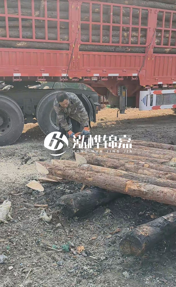 2米松木樁多少錢一根？15-20CM直徑價格是多少？