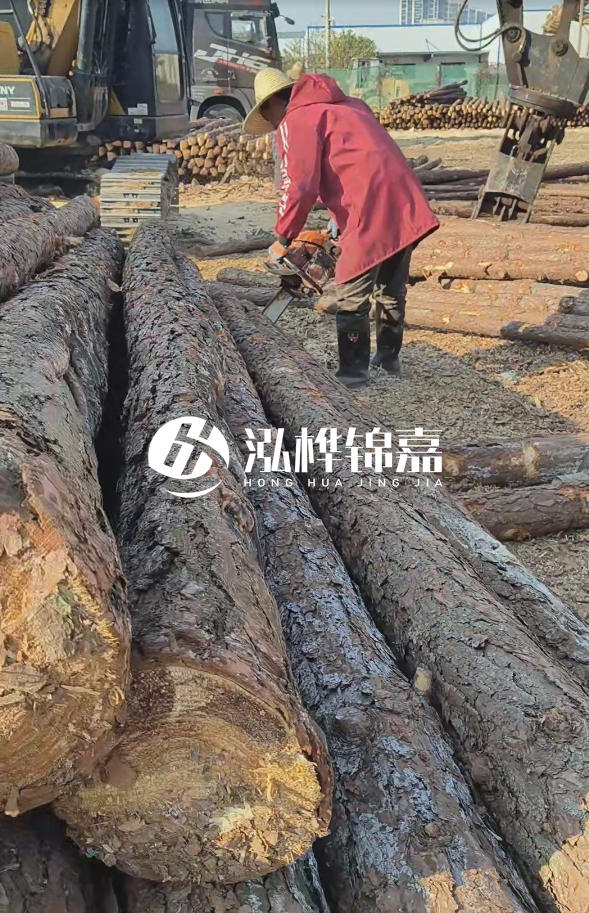長沙打樁木批發(fā)廠家在哪里？聯(lián)系方式是什么？