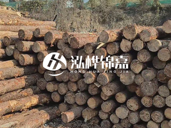 落葉松木材的主要產(chǎn)地在哪里？為什么比其他松木更耐腐蝕？