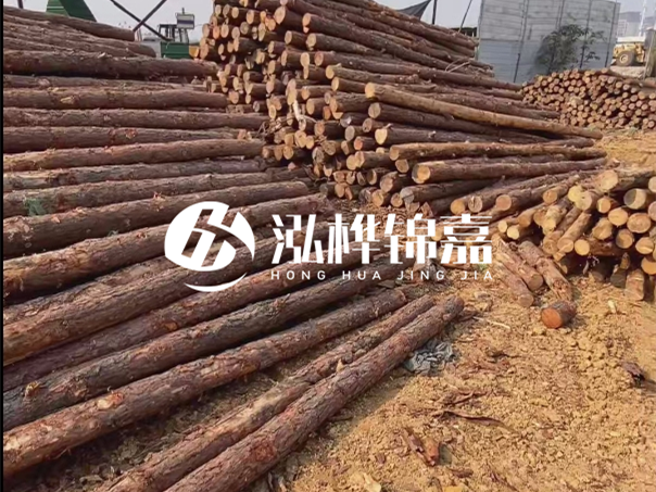 河道木樁施工遇到淤泥怎么辦？打多深才能防沖刷？