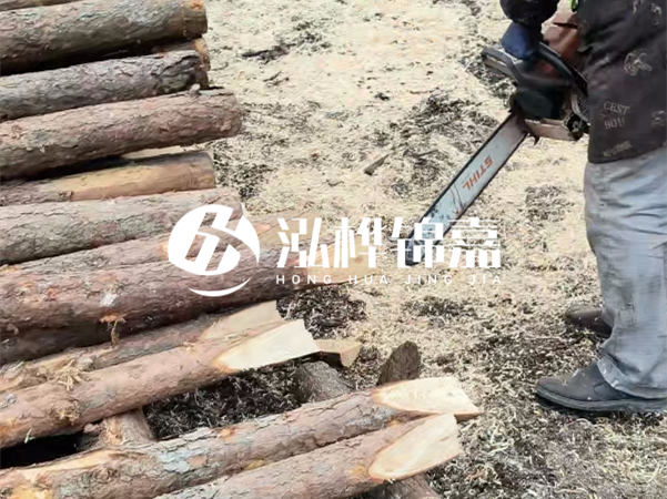 杉木樁批發(fā)廠家哪家好？產(chǎn)地直供渠道推薦！