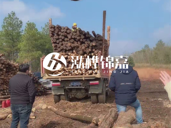 松木樁價(jià)格是按米算還是按根算？6米松木樁批發(fā)價(jià)每根多少錢？