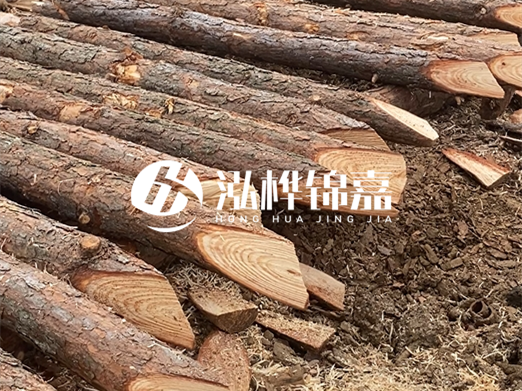 松木樁削尖的費用怎么算？按根收費還是包含在單價里？