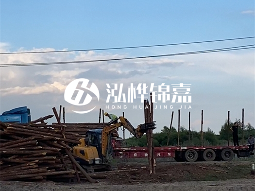 河北打樁木源頭廠家泓樺錦嘉 - 北方常用打樁木是什么？