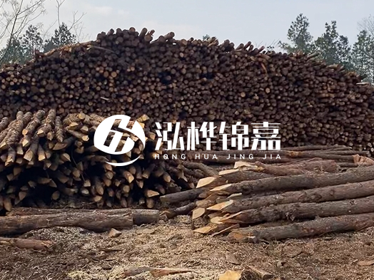 地基打木樁用什么木材 - 地基打木樁的能撐幾年？