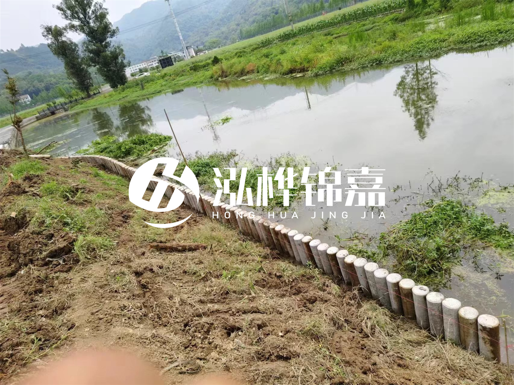 松木樁加固河道與水泥樁對(duì)比如何？哪一種更加適合您？