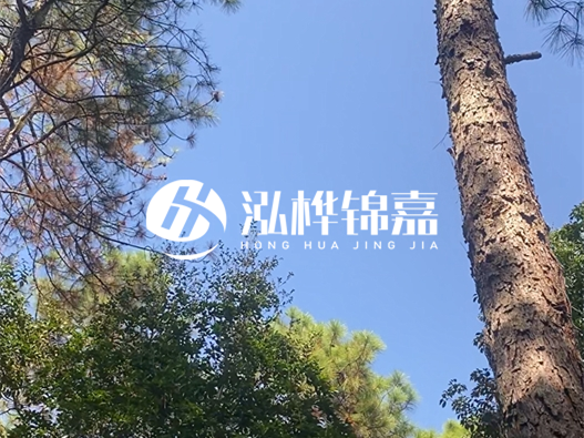 松木樁廠家的供貨能力強(qiáng)不強(qiáng)-怎么才能聯(lián)系到松木樁廠家？