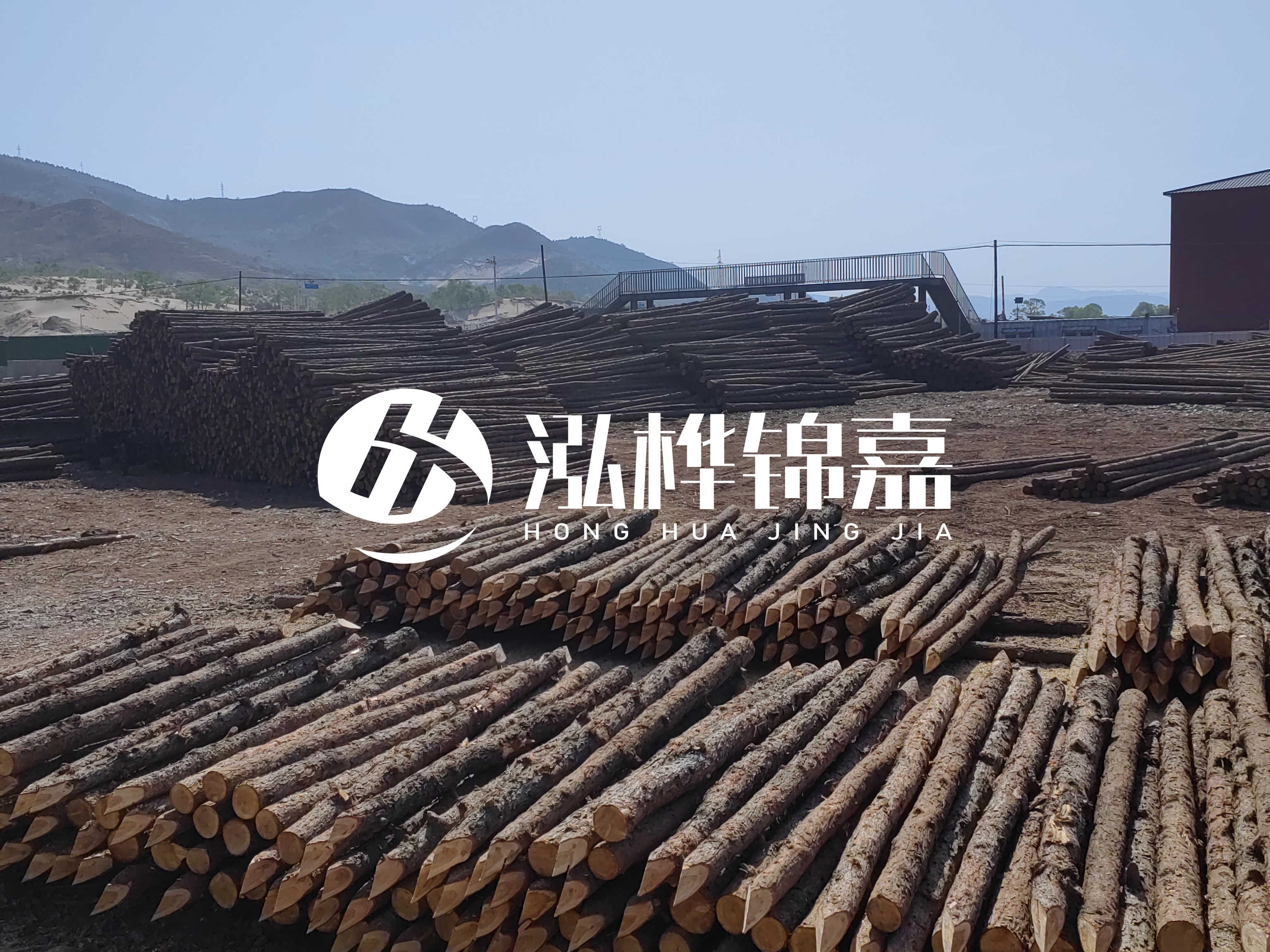 江蘇打樁木源頭廠家泓樺錦嘉-4米打樁木大頭14-16小頭一般多少？