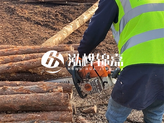 河道打木樁多少錢(qián)一根？5米直徑10松木樁打樁多少錢(qián)？