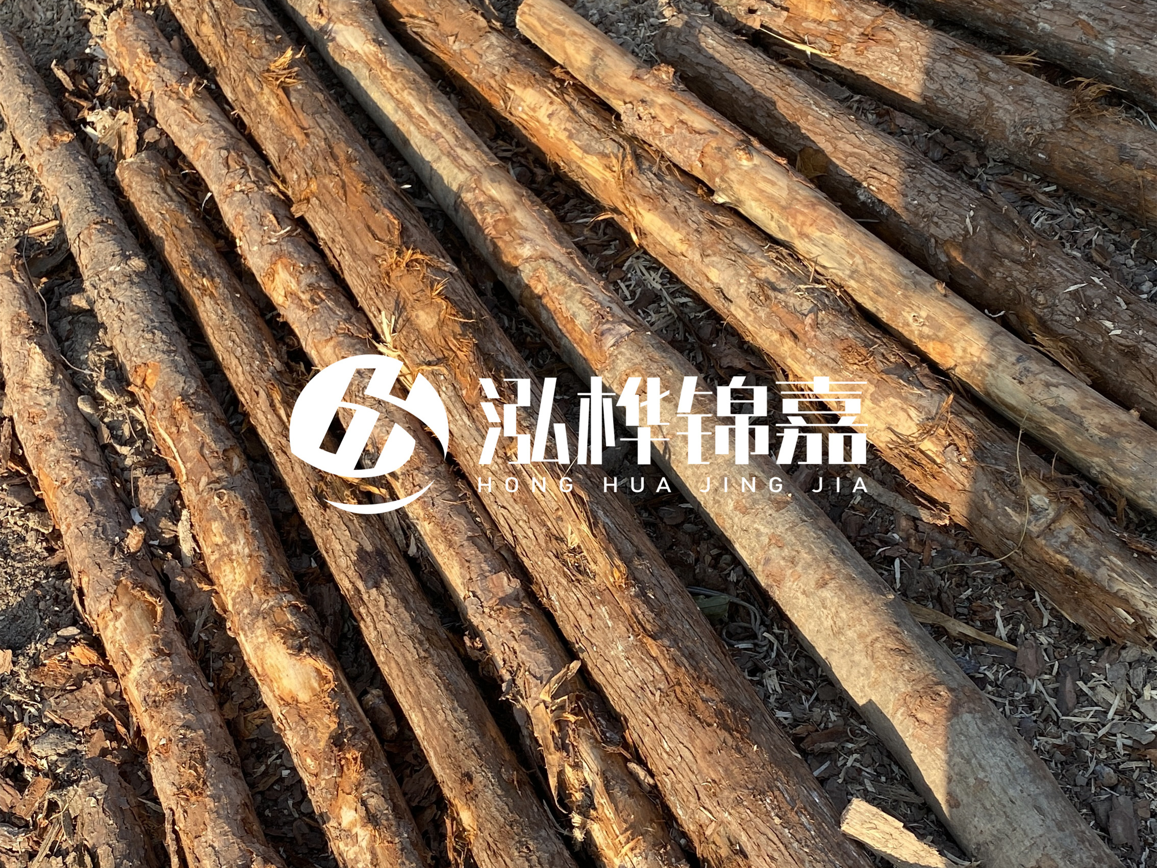 河道木樁多少錢一根？河道木樁的使用以及保養(yǎng)方法?