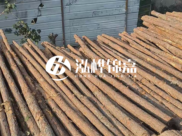 松木樁打樁后清淤怎么處理？有沒有全包的公司？