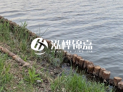 防洪松木樁施工重要性？河道打木樁的位置怎么確定？
