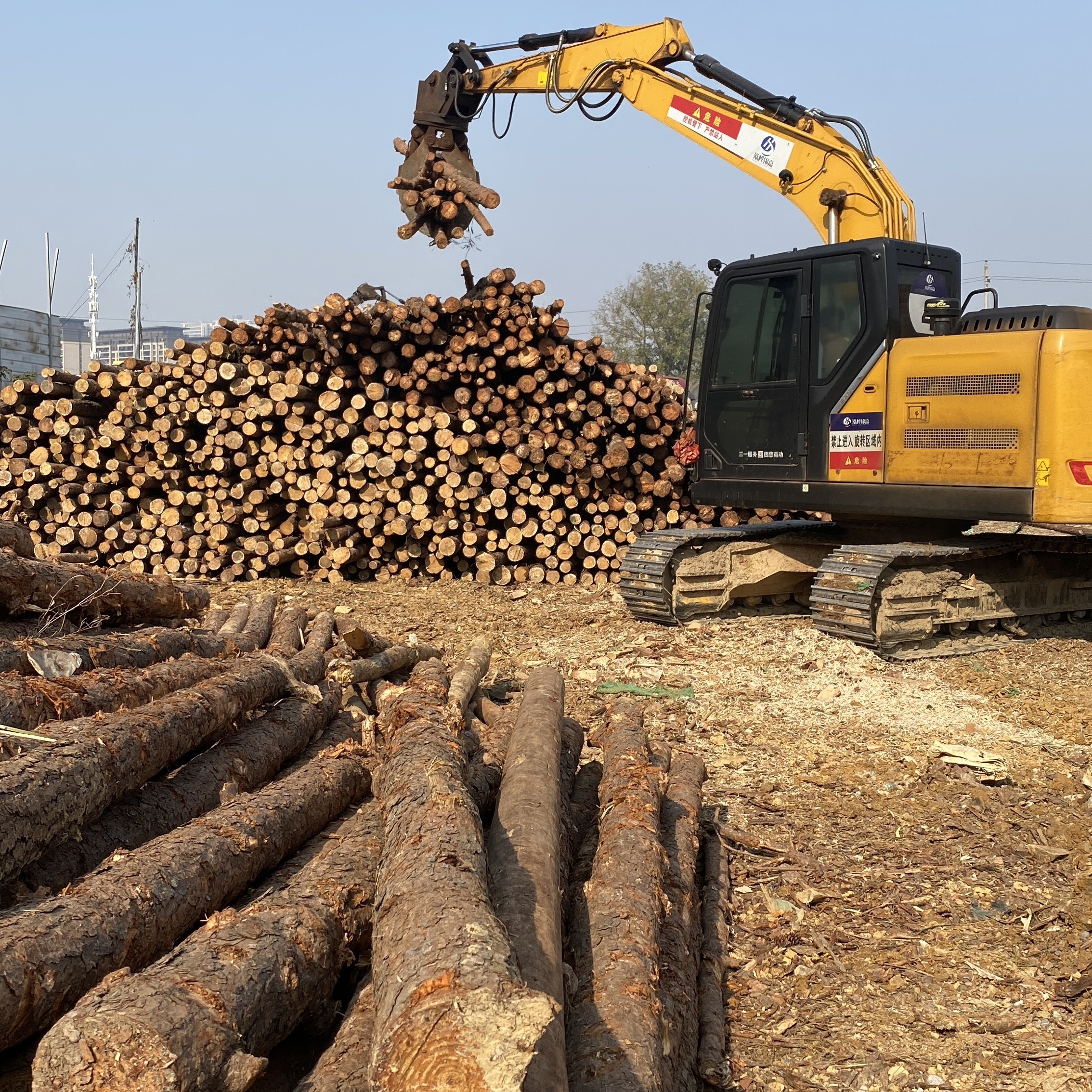 松木樁廠家泓樺錦嘉-濕地松原木的價格大概是多少？