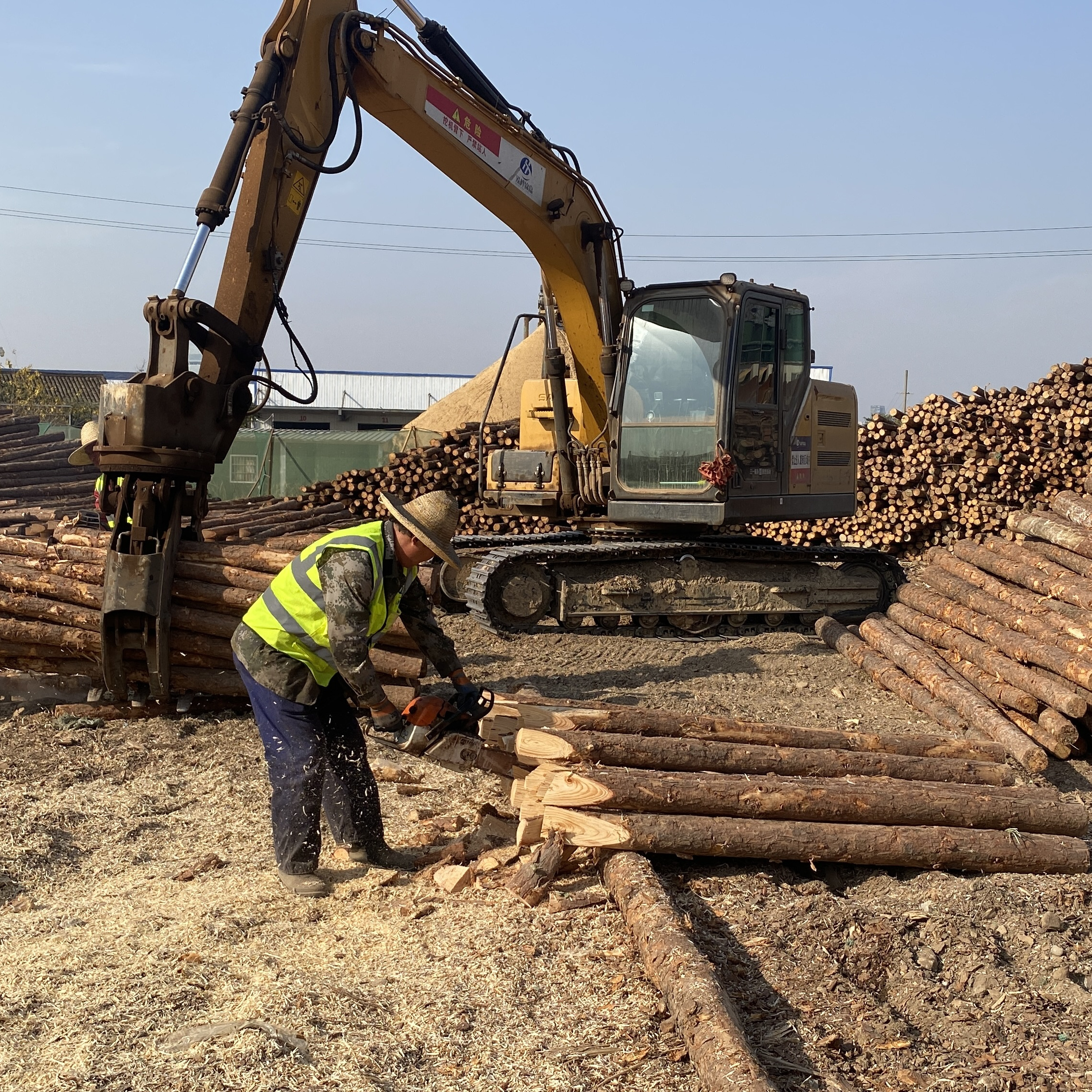 松木樁廠家泓樺錦嘉-工程打樁木選擇落葉松還是濕地松更耐腐蝕？