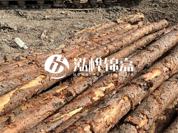 松木樁廠家泓樺錦嘉-原木松木樁的材質是落葉松還是濕地松好？