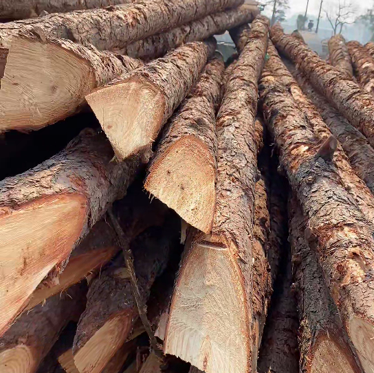 松木樁施工隊泓樺錦嘉 - 原木松木樁怎么辨別是否為實心？