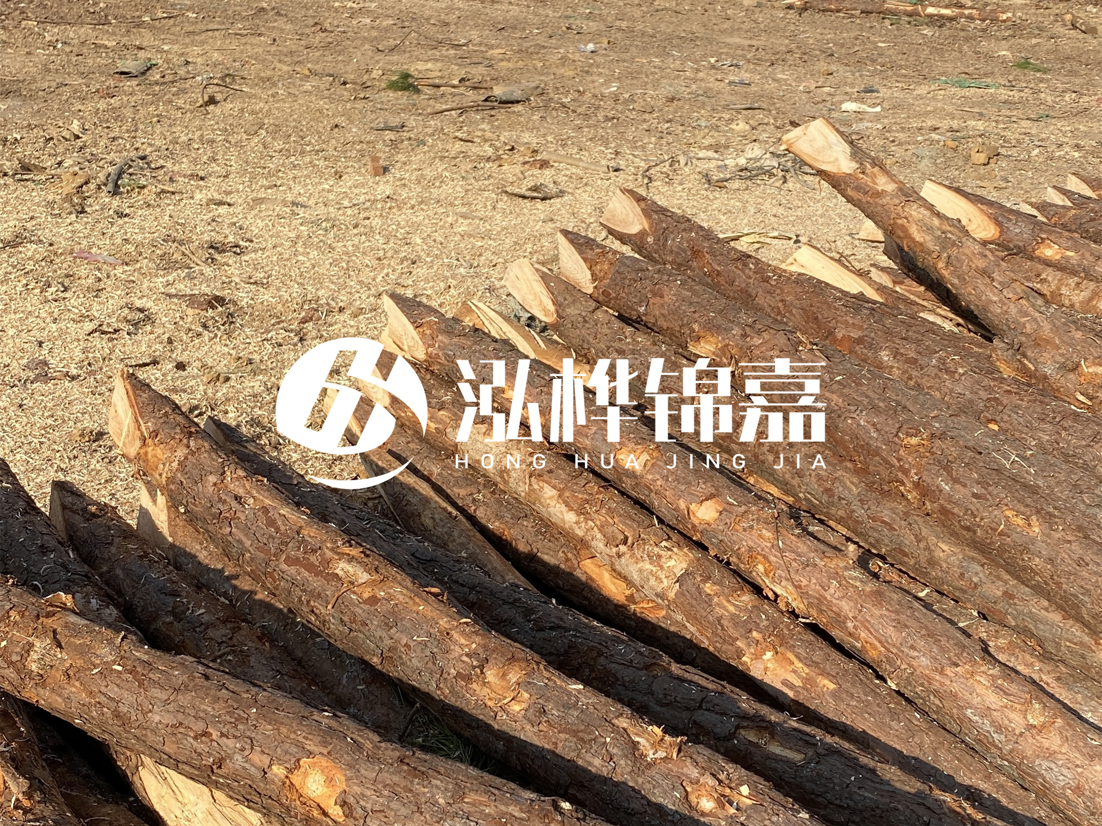 松木樁施工隊(duì)泓樺錦嘉 - 落葉松的直徑能達(dá)到20cm嗎？