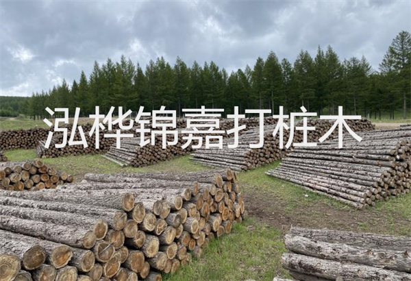 預(yù)制松木樁施工工藝：優(yōu)質(zhì)材料，高效快速，堅固耐用