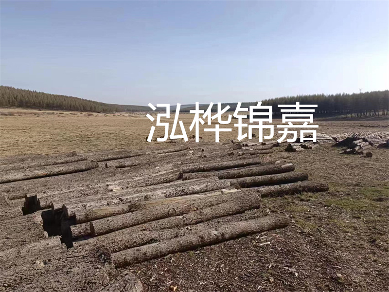 選擇什么木頭的床最好？