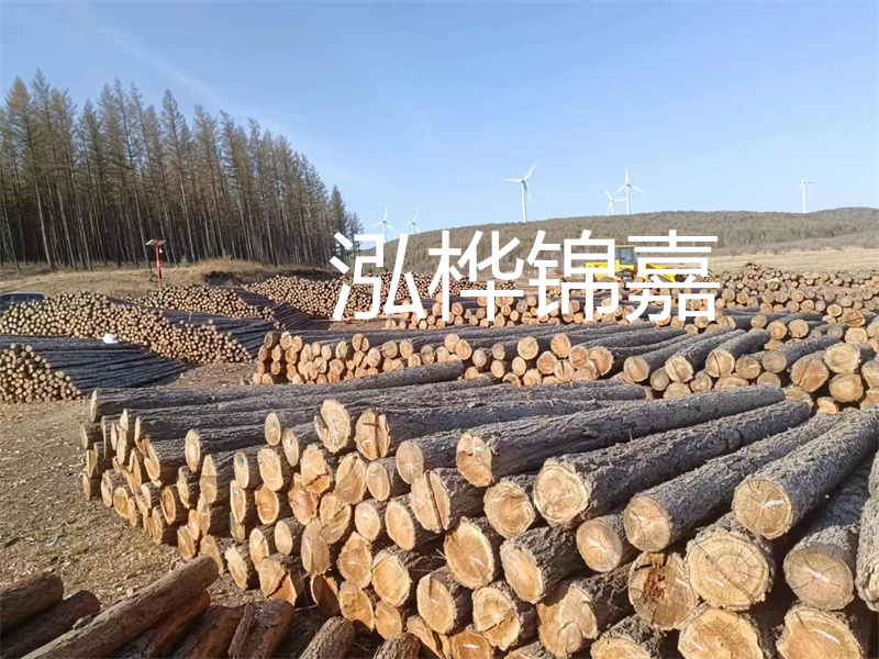 用路基松木樁施工方案提升工程質(zhì)量描述：了解路基松木樁施工方案的重要性，提高工程質(zhì)量關(guān)鍵詞：路基松木樁，施工方案，工程質(zhì)量