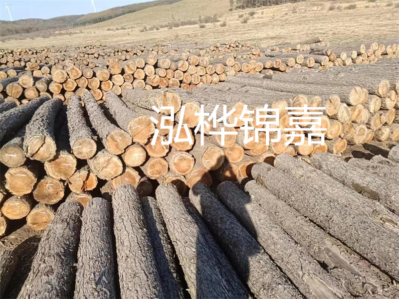 鹽城松木樁河道圍堰施工，保護生態(tài)環(huán)境，打造美麗城市